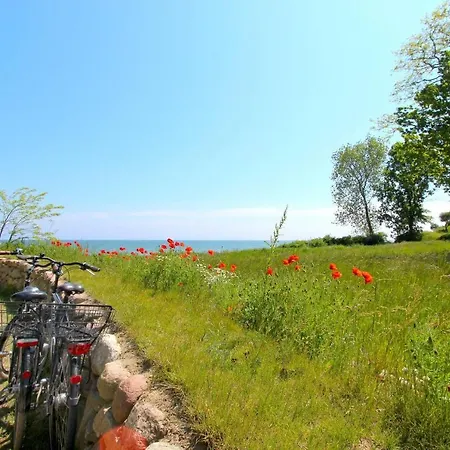 Appartamento Rex Rugia 11-6 Mit Gratis Sauna- Und Schwimmbadnutzung Im Ahoi Sellin