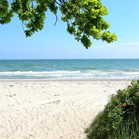 Rex Rugia 11-6 Mit Gratis Sauna- Und Schwimmbadnutzung Im Ahoi Sellin Appartamento *