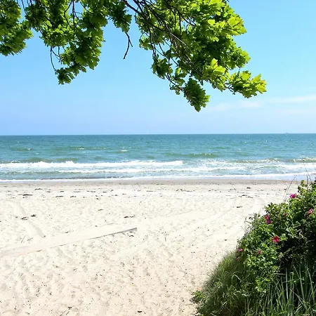Strandnahe Mit Balkon, Gratis Nutzung Vom Ahoi Erlebnisbad Und Sauna In Sellin - Rex Rugia 11-6 شقة *